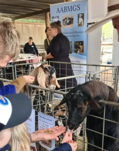 Gidgegannup Small Farm Field Day 2021 WA