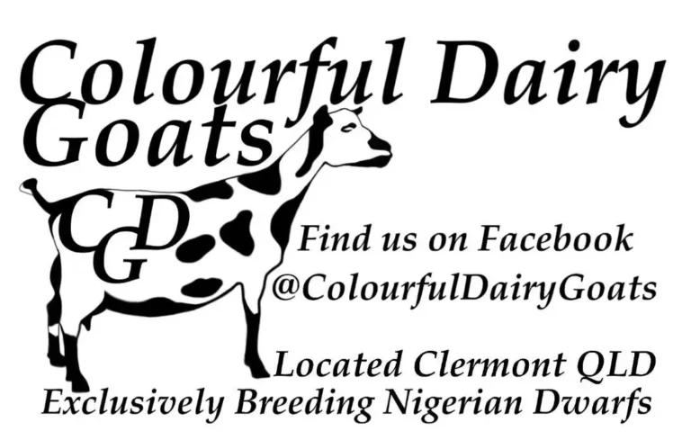 Colourful Dairy