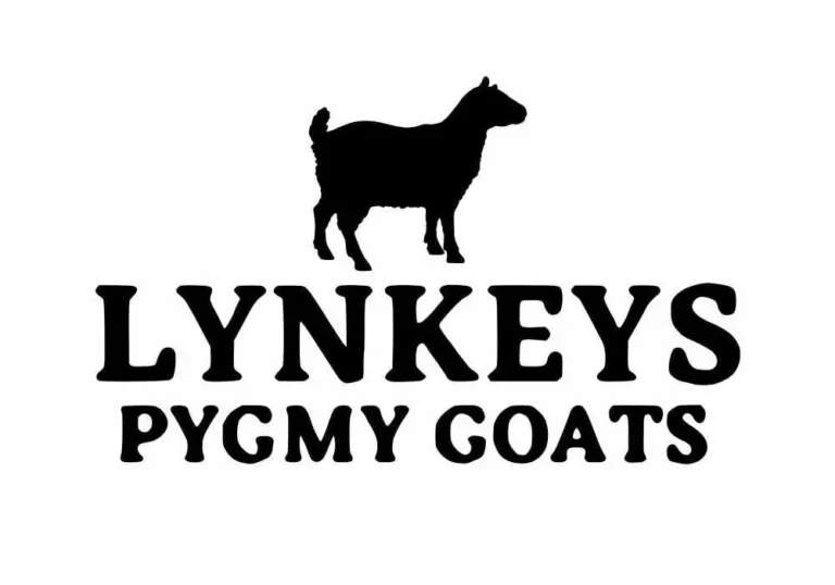 Lynkeys