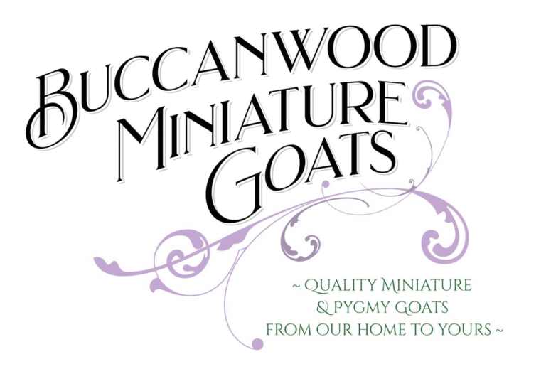 Buccanwood Miniature Goats