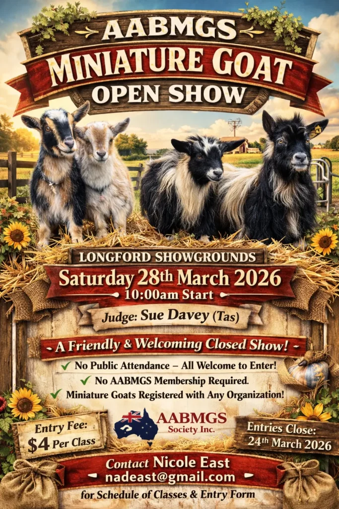 Longford Show Flyer
