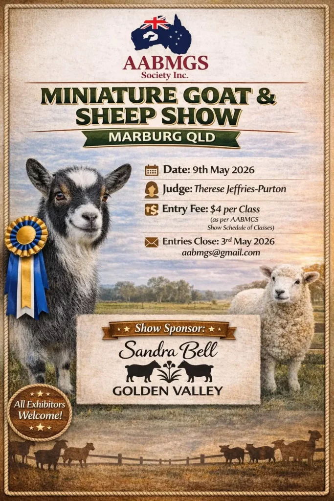 Marburg Show 9 May 2026