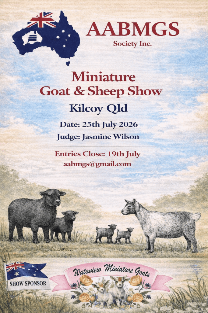 Kilcoy Show Poster