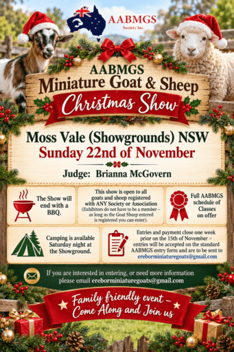 Christmas Show Moss Vale Showgrounds